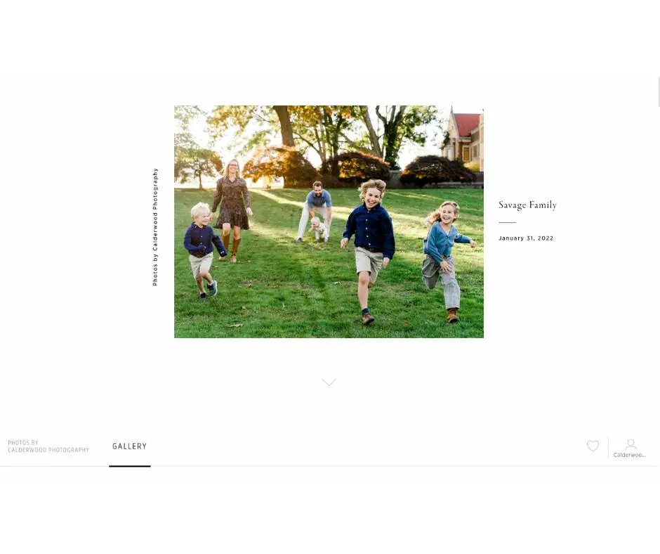 Opening image of an online family photo session gallery
